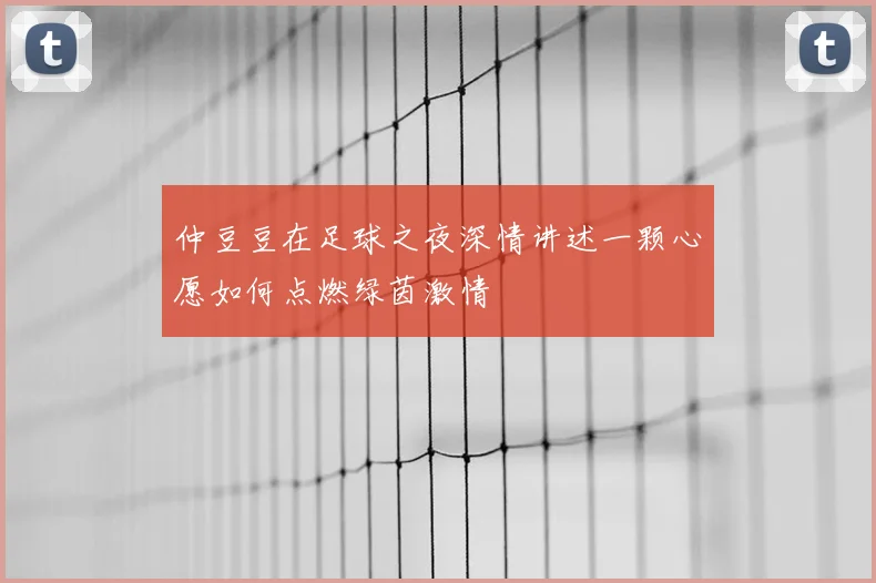 仲豆豆在足球之夜深情讲述一颗心愿如何点燃绿茵激情