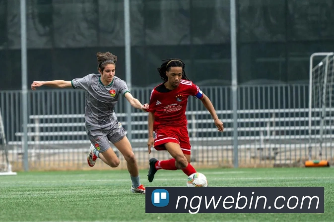 南宫体育服务体系